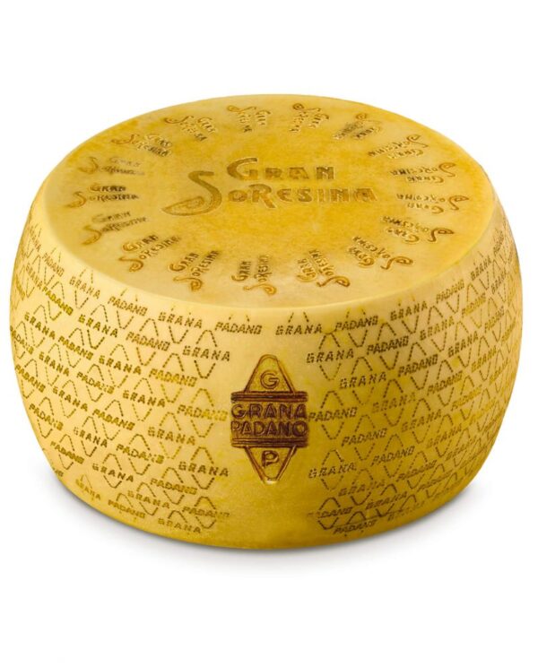 Grana Padano HORMA